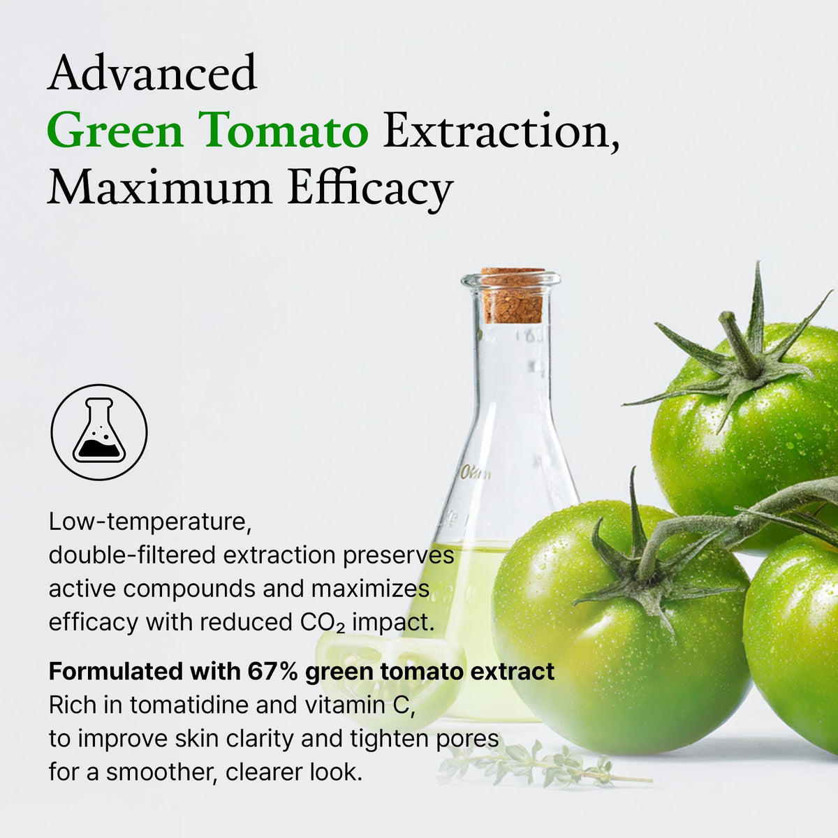 GlassPore Green Tomato Clay Mask Cleanser